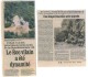 rocvilain dynamité