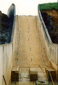 Cannula for grout injection in dam storm spillway