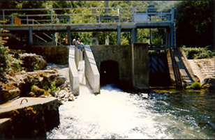 Construccion de un pasaje aguas abajo para los peces (aqui, truchas del Vis)