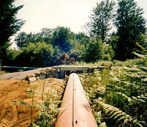 Construction of a structure for forest exploitation over high-pressure pipe