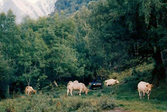 travaux-environnementaux - respect de la nature, respect de la faune